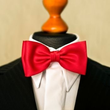 Papillon-4